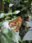 IMG_20220807_125259.jpg