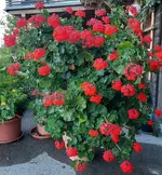 20220804_200922.webp