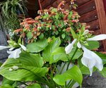 20220729_100721.jpg