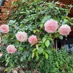 20220806_082508.webp