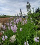 20220802_082629 (1).jpg