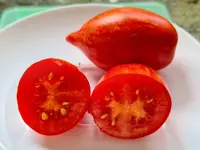 20220807_221225.webp