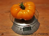 20220804_212315.webp