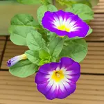 20220808_124816.jpg
