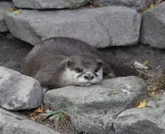 zoo1.webp