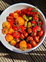 20220807_111409.webp