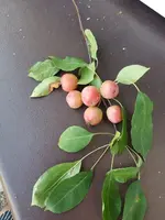 IMG-20220808-WA0002.webp