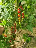 20220806_094712.jpg