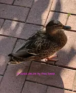 IMG_3462.webp