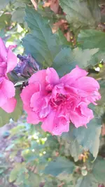 20220809_091354.webp