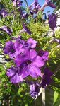 20220809_091348.jpg