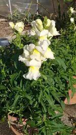 20220809_091325.webp
