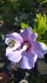 20220809_091259.jpg