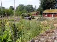 DSCN3900.JPG