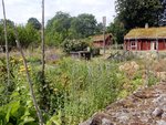 DSCN3900.JPG