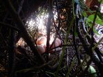 DSCN4278.JPG