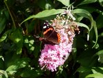 DSCN4281.JPG