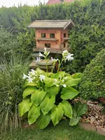 IMG_20220808_073708.webp