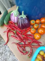 IMG_20220811_131708.webp