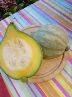 IMG_20220812_113717.webp