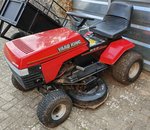 IMG_20220809_190330.jpg