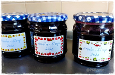 Aronia 4.webp