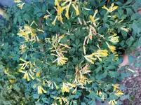 IMG_20220715_101603.jpg
