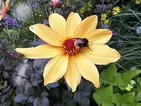 DSCI0914.webp