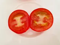 20220813_171604.jpg