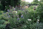 August     0122.JPG