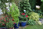 August     0222.JPG