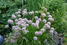August     0522.webp