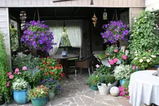 Terasse       5522.webp