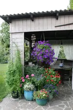 Terasse       6122.webp
