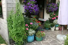 Terasse       6422.webp