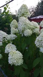 20220813_202847.webp
