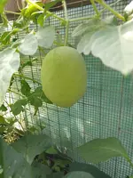 IMG_20220813_132624.webp