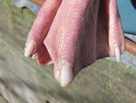 IMG_3054 v.JPG