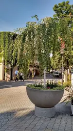 IMG_20170717_174903465_HDR.webp