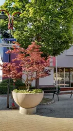 IMG_20170717_174844944_HDR.webp