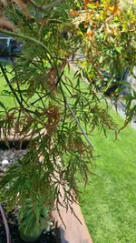 20220814_122542.webp