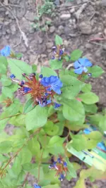 20220814_173247.webp