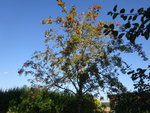DSC02622.JPG