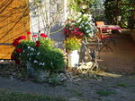 DSC02623.JPG