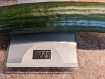 PXL_20220815_082646436.jpg