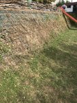 IMG_1909.jpeg
