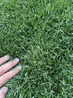 381B81BA-BA85-4B05-B225-D719684407D9.jpeg