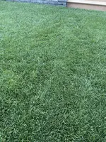 66252CB6-2797-4D05-902F-72C862BB5170.jpeg