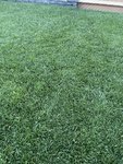 66252CB6-2797-4D05-902F-72C862BB5170.jpeg
