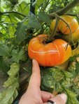 IMG_20220816_182211.jpg